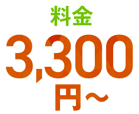 料金3,300円～